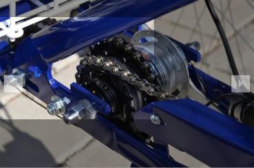 Lanztec Trike mit Elektroantrieb mit 250 Watt Motor