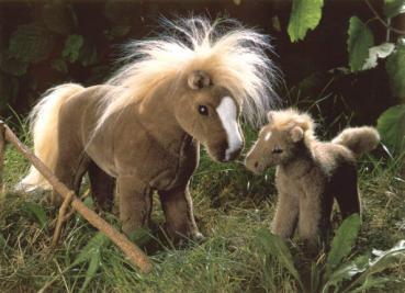 Haflinger-Fohlen