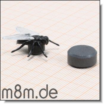 Megamag magnetische Krabbeltiere<br>hier: Fliege