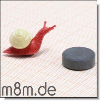 Megamag magnetische Krabbeltiere<br>hier: Schnecke