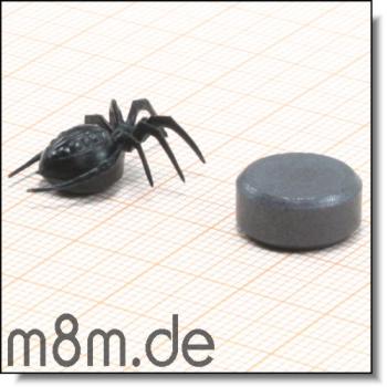 Megamag Magnetische Krabbeltiere<br>hier: Spinne