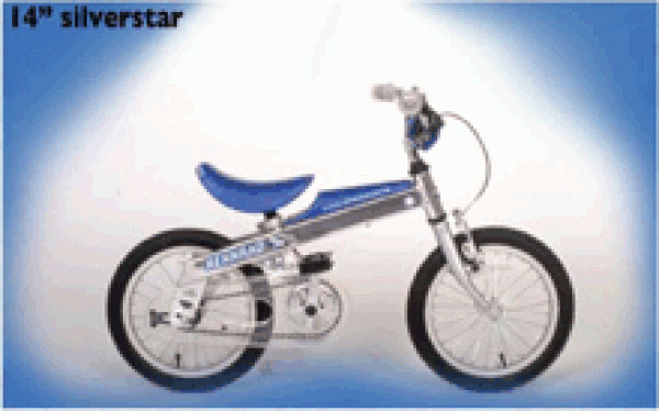 Rennrad - erst RENNen, dann RADeln