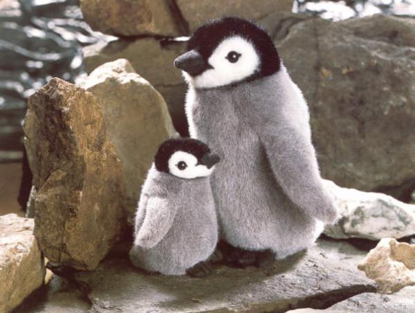 Kaiserpinguinbaby